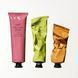 C&ocirc;te d'Azur Nourishing Hand Cr&egrave;me | Интенсивный крем для рук &laquo;Лазурный берег&raquo;, 100 мл