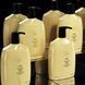Hair Alchemy Resilience Conditioner | Кондиціонер проти ламкості та сухості, 1000 мл